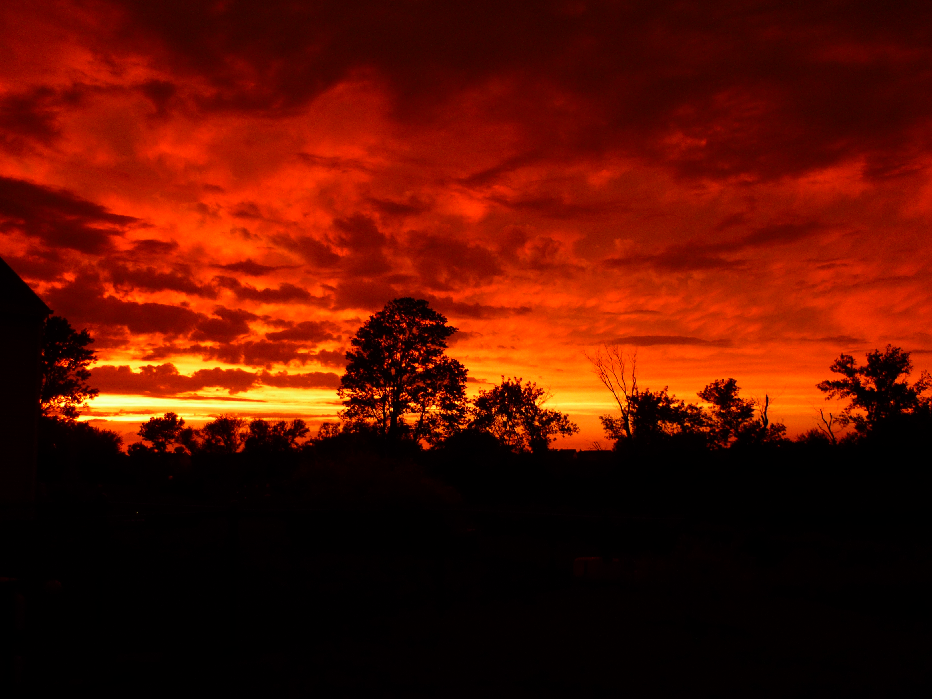 Backyard Sunset